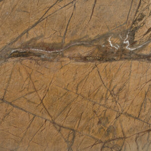 Rainforest Gold Leather Natural Marble