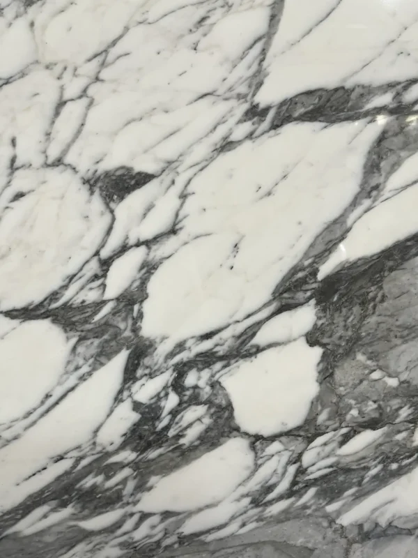 Arabescato Corchia Matte Marble - Image 2